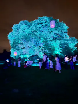 東京 星空と光の夏祭り（開催日：8月8日～16日）に投稿された画像（2026/8/16）