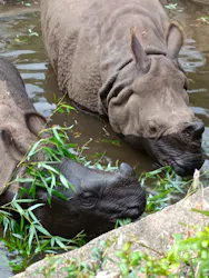 多摩動物公園に投稿された画像（2026/8/16）