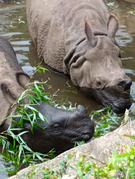 多摩動物公園に投稿された画像（2026/8/16）
