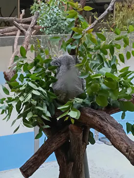 多摩動物公園に投稿された画像（2026/8/16）