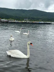kajiya lakesideに投稿された画像（2026/8/16）