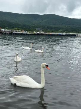 kajiya lakesideに投稿された画像（2026/8/16）