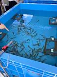 環境水族館アクアマリンふくしまに投稿された画像（2026/8/16）