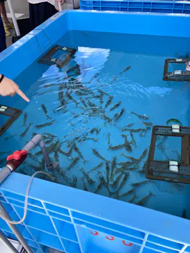 環境水族館アクアマリンふくしまに投稿された画像（2026/8/16）