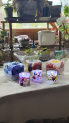 N’s gardenに投稿された画像（2026/8/16）