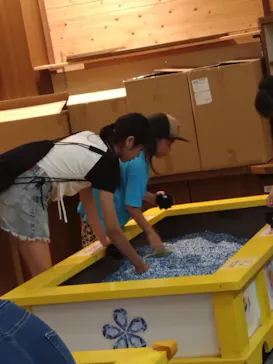 滋賀農業公園ブルーメの丘に投稿された画像（2026/8/16）