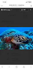 ダイブハウスマンタ石垣島に投稿された画像（2026/8/16）