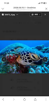 ダイブハウスマンタ石垣島に投稿された画像（2026/8/16）