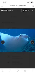 ダイブハウスマンタ石垣島に投稿された画像（2026/8/16）
