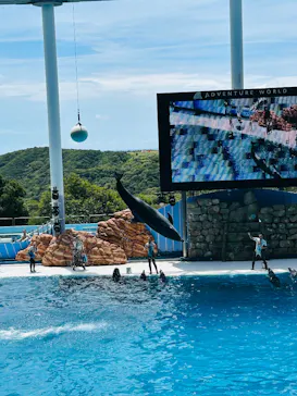 アドベンチャーワールドに投稿された画像（2026/8/16）