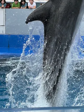 大分マリーンパレス水族館 「うみたまご」に投稿された画像（2026/8/16）