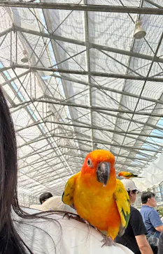 掛川花鳥園に投稿された画像（2026/8/16）