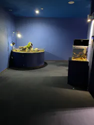 シン・マリホ水族館に投稿された画像（2026/8/16）