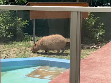 竹島水族館に投稿された画像（2026/8/16）