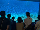 アクアワールド茨城県大洗水族館に投稿された画像（2026/8/16）