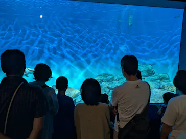 アクアワールド茨城県大洗水族館に投稿された画像（2026/8/16）