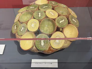 プレバト才能アリ展（大阪会場）に投稿された画像（2026/8/16）