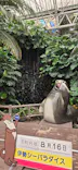 ゼロ距離水族館 伊勢シーパラダイスに投稿された画像（2026/8/16）