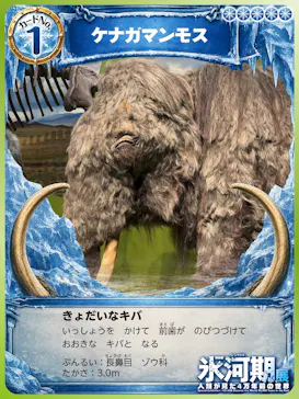特別展「氷河期展　人類が見た４万年前の世界」（福岡会場）に投稿された画像（2026/8/16）