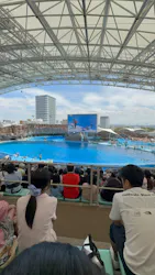 名古屋港水族館に投稿された画像（2026/8/16）