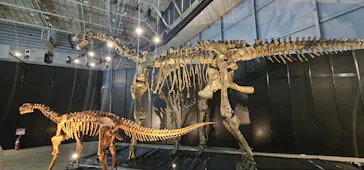 ヨコハマ恐竜展２０２６～恐竜の食卓大図鑑～に投稿された画像（2026/8/16）