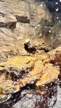 葛西臨海水族園に投稿された画像（2026/8/16）