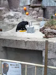 天王寺動物園に投稿された画像（2026/8/16）