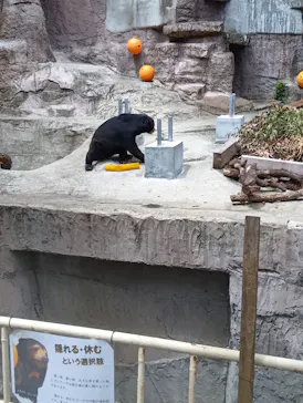 天王寺動物園に投稿された画像（2026/8/16）