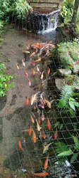 箱根湯本温泉 天成園に投稿された画像（2026/8/16）