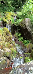 箱根湯本温泉 天成園に投稿された画像（2026/8/16）