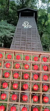 箱根湯本温泉 天成園に投稿された画像（2026/8/16）