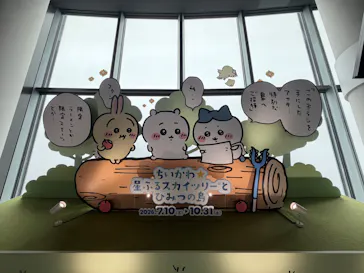 東京スカイツリー®に投稿された画像（2026/8/16）