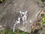 伊豆シャボテン動物公園に投稿された画像（2026/8/16）