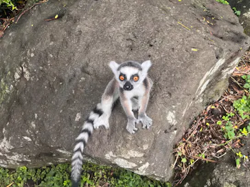 伊豆シャボテン動物公園に投稿された画像（2026/8/16）