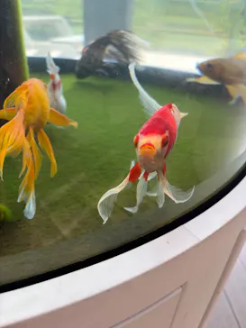環境水族館アクアマリンふくしまに投稿された画像（2026/8/16）