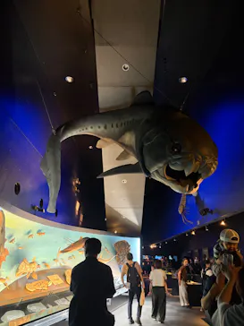 環境水族館アクアマリンふくしまに投稿された画像（2026/8/16）