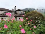 箱根ガラスの森美術館に投稿された画像（2026/8/16）