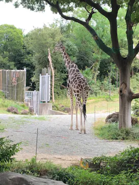 天王寺動物園に投稿された画像（2026/8/16）