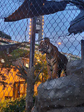 名古屋市東山動植物園に投稿された画像（2026/8/16）