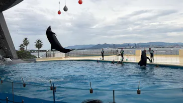 マリンワールド海の中道に投稿された画像（2026/8/16）