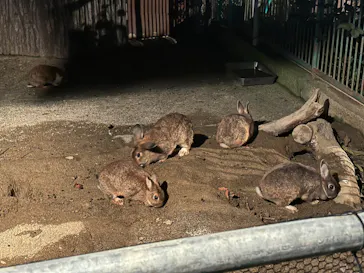 日立市かみね動物園に投稿された画像（2026/8/16）