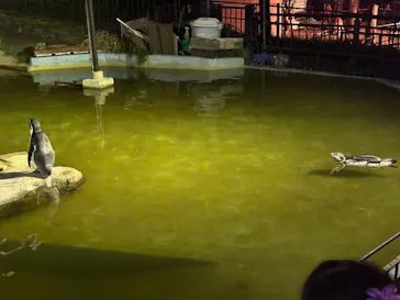 日立市かみね動物園に投稿された画像（2026/8/16）