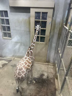 日立市かみね動物園に投稿された画像（2026/8/16）