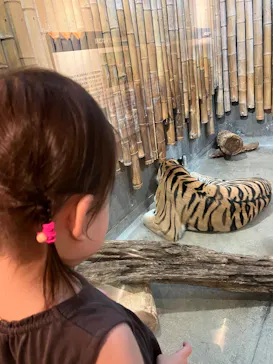 いしかわ動物園に投稿された画像（2026/8/16）