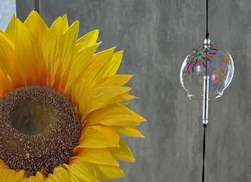 サンシャイン60展望台に投稿された画像（2026/8/16）
