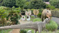 伊豆ぐらんぱる公園に投稿された画像（2026/8/16）