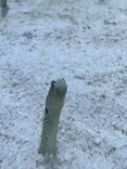 すみだ水族館に投稿された画像（2026/8/16）
