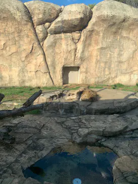 千葉市動物公園に投稿された画像（2026/8/16）