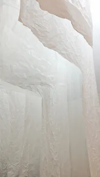 大南極展に投稿された画像（2026/8/16）