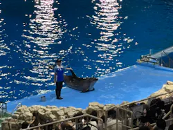 名古屋港水族館に投稿された画像（2026/8/16）